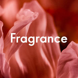 fragrance Oriflame
